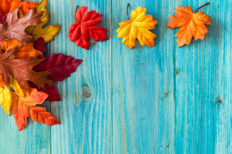 Autumn Leaves on Wood — Blue, Calm
