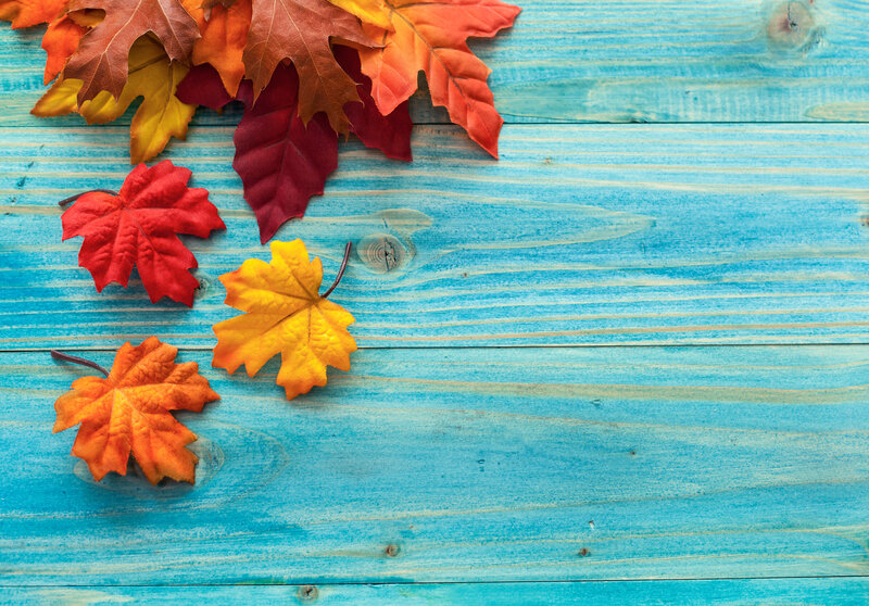 Autumn Leaves on Wood — Blue