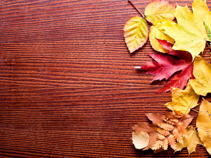 Autumn Leaves on Wood — Brown, Calm, Photograph