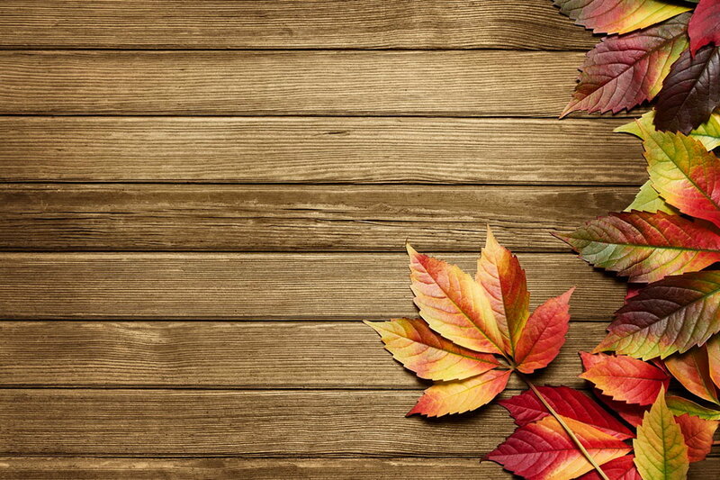 Autumn Leaves on Wood — Brown, Calm