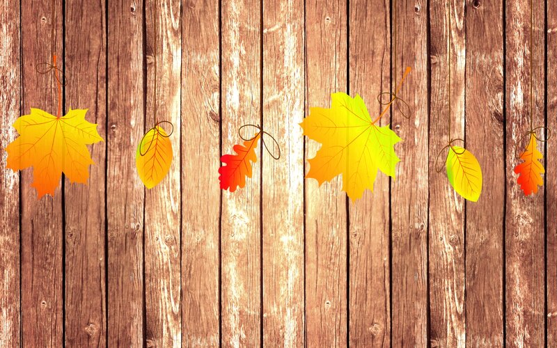 Autumn Leaves on Wood — Brown