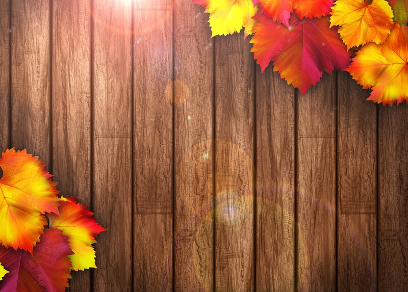 Autumn Leaves on Wood — Brown, Warm