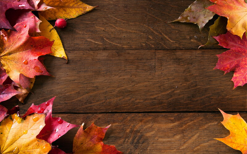 Autumn Leaves on Wood — Red, Calm, Photograph, Berries