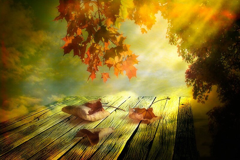 Autumn Leaves on Wood — Yellow, Serene, Digital Art