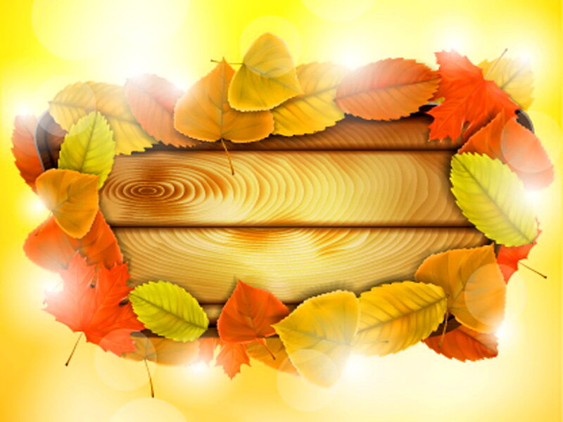 Autumn Leaves on Wood — Yellow, Warm