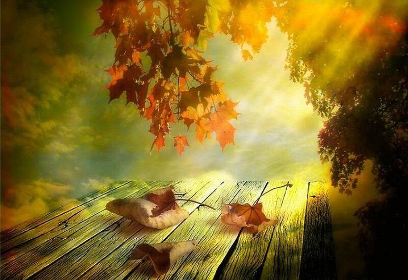 Autumn leaves on wooden deck