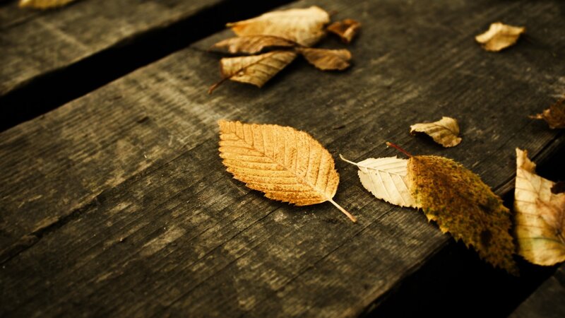 Autumn leaves on wooden planks