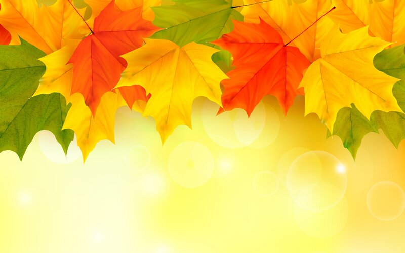 Autumn Leaves on Yellow Background — Bright