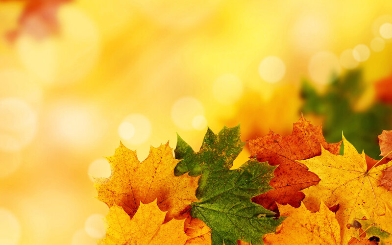 Autumn Leaves on Yellow — Warm