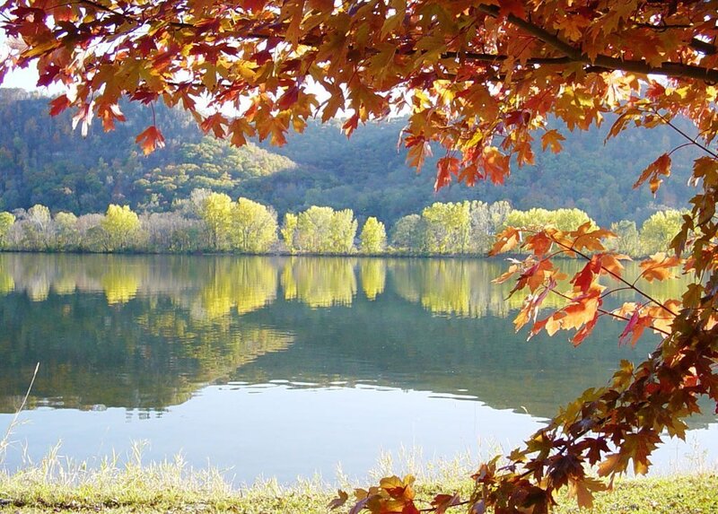 Autumn leaves over a calm lake