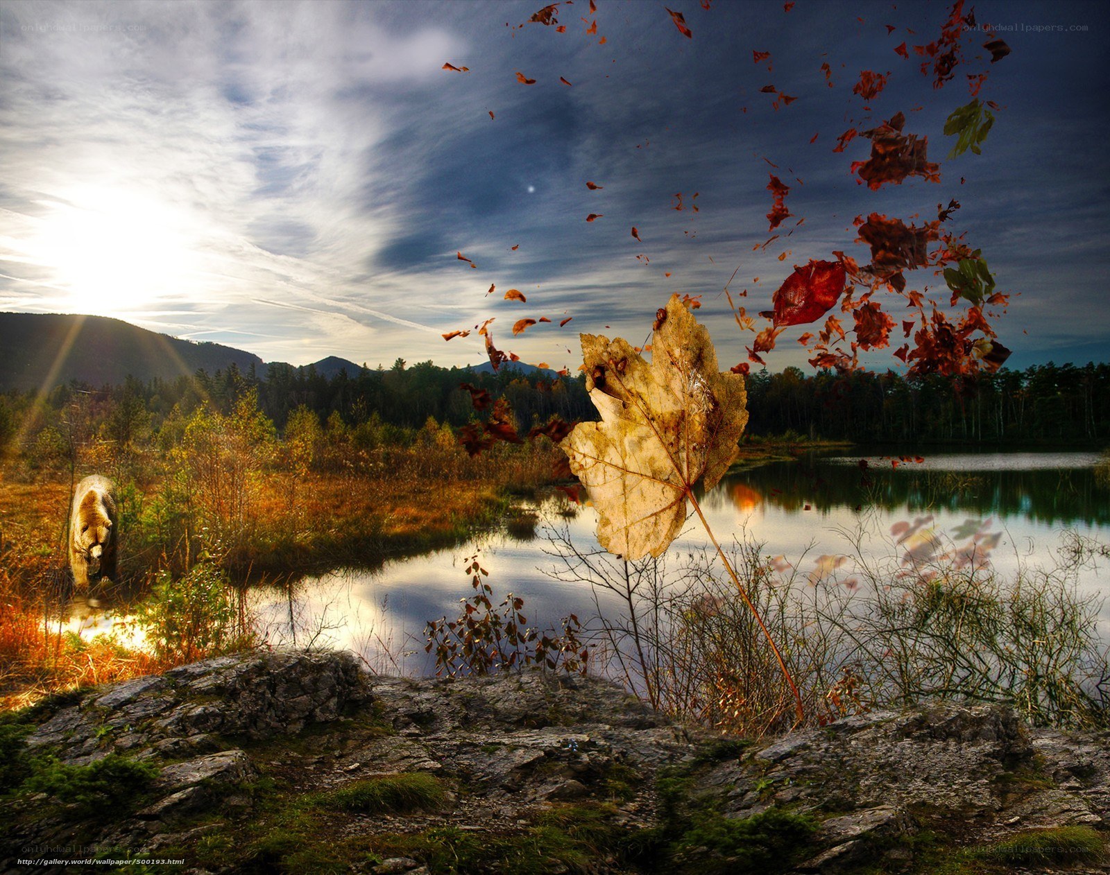 Autumn leaves over a lake