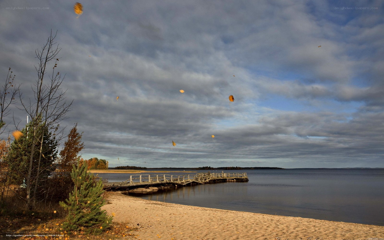 Autumn leaves over a lakeside dock