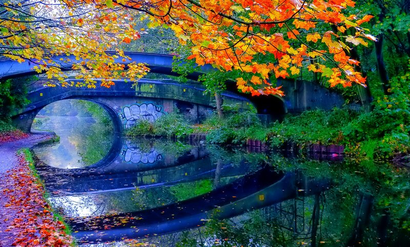 Autumn Leaves over Canal