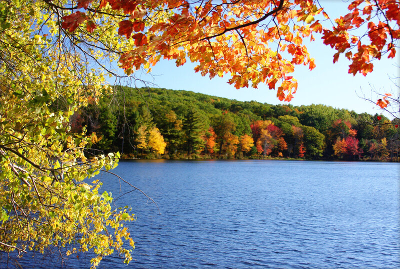 Autumn Leaves over Lake — Blue