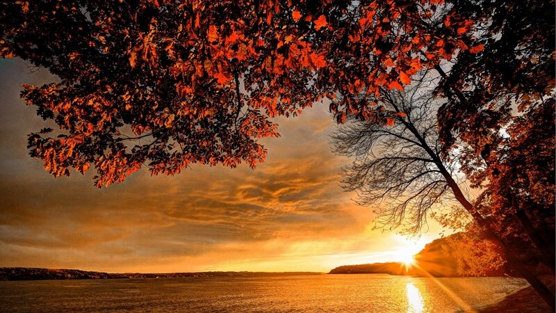 Autumn Leaves over Lake — Orange, Serene, Sunset