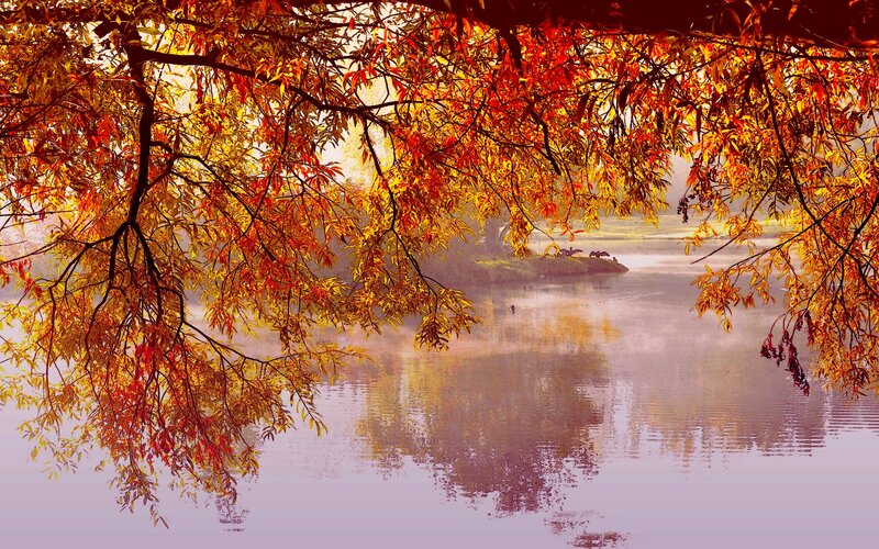 Autumn Leaves over Lake — Orange, Serene