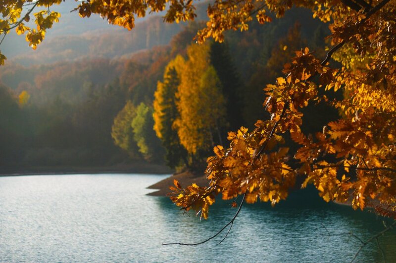 Autumn Leaves over Lake — Orange