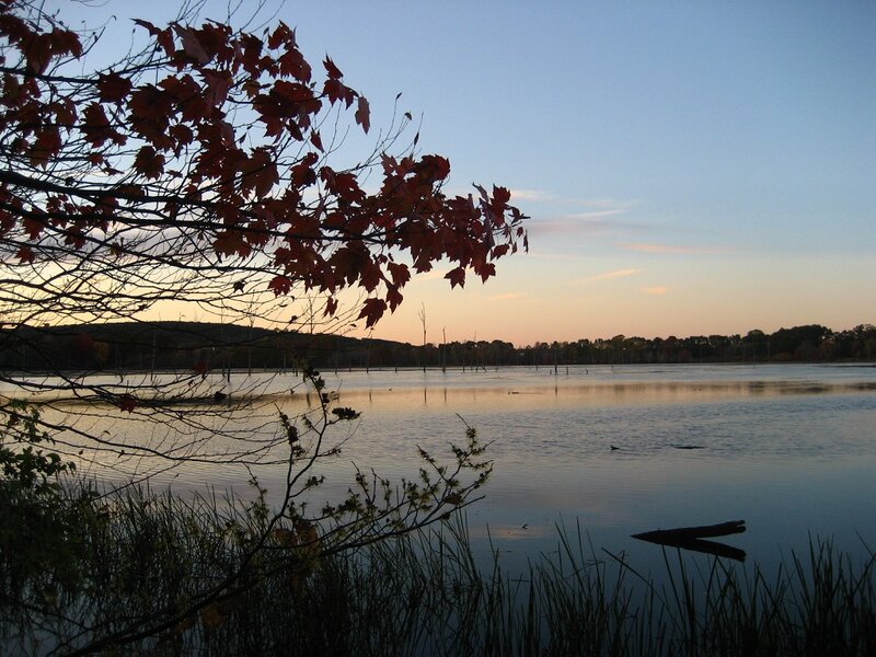 Autumn Leaves over Lake — Red, Serene, Sunset
