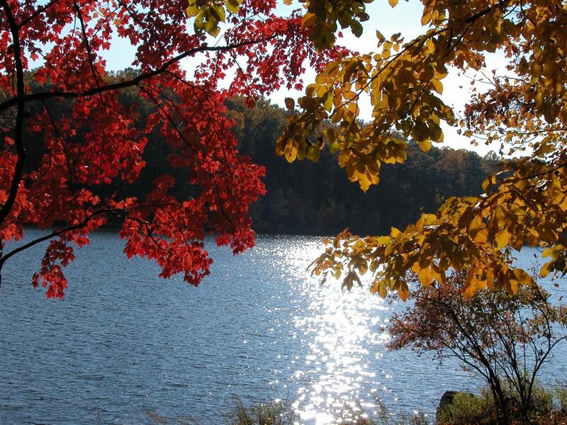 Autumn Leaves over Lake — Red, Serene