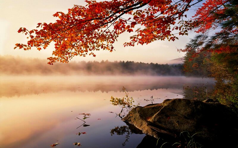 Autumn Leaves over Lake — Red