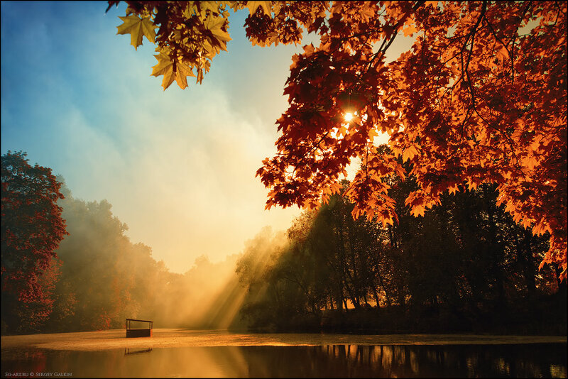 Autumn Leaves over Lake