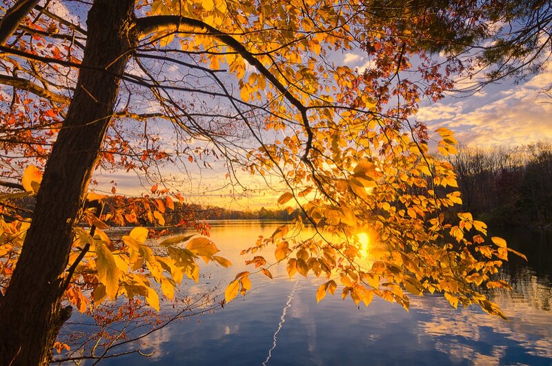 Autumn Leaves over Lake — Yellow, Serene, Sunset
