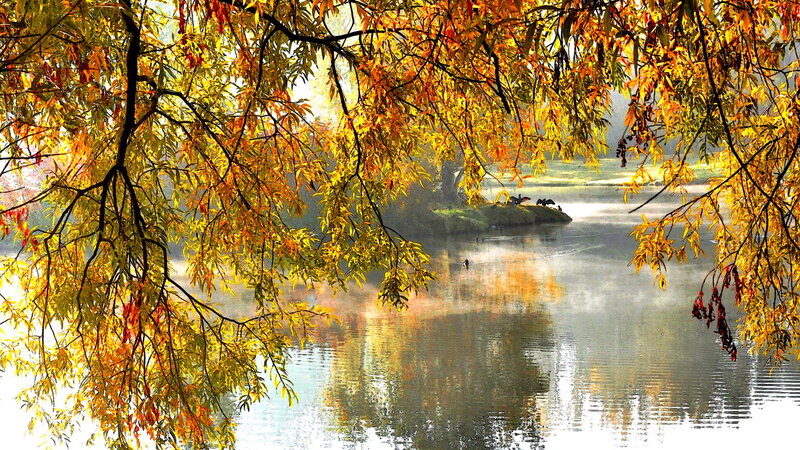 Autumn Leaves over Lake — Yellow