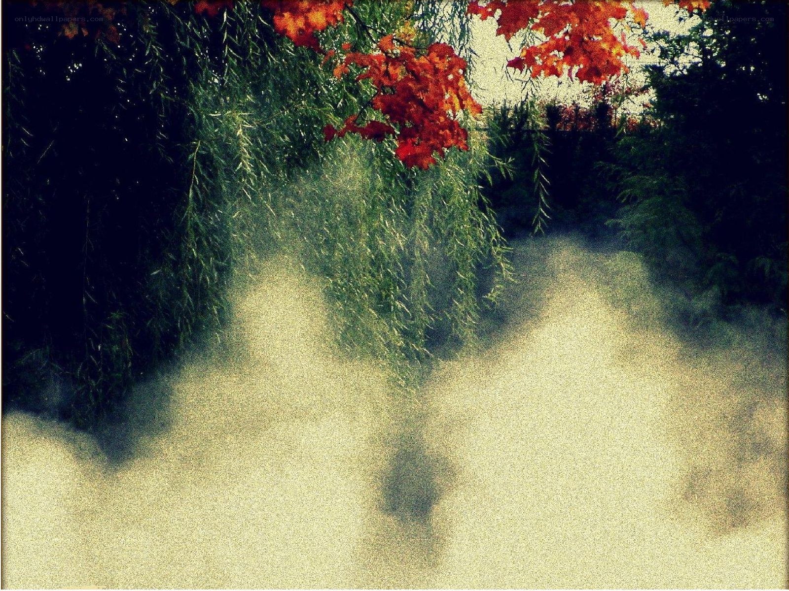 Autumn leaves over misty path