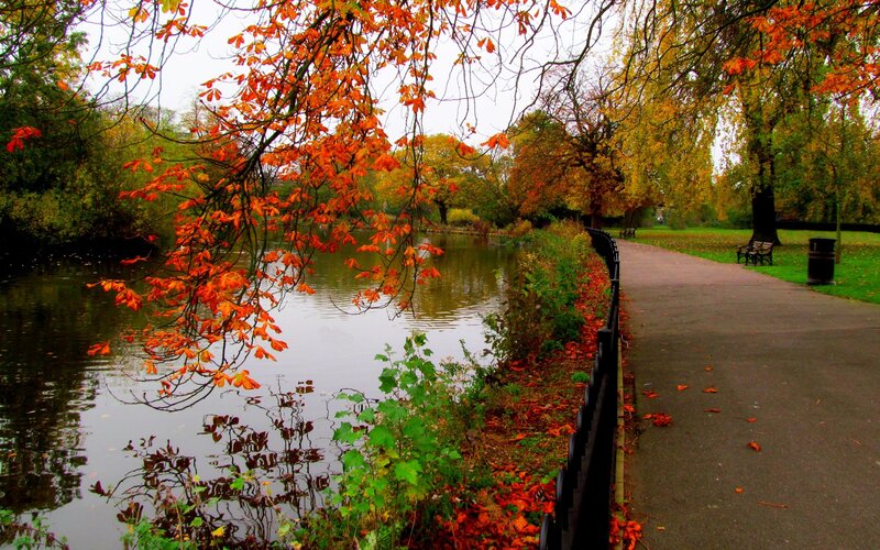 Autumn Leaves over Pond — Orange
