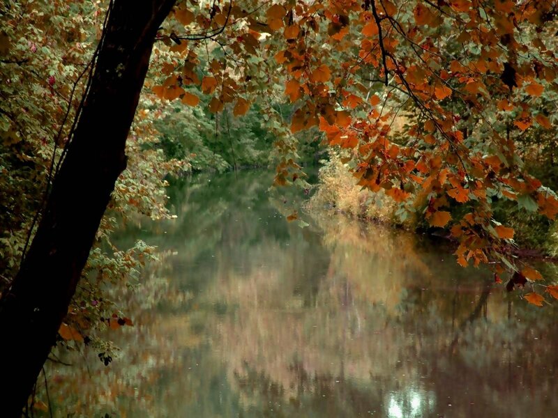 Autumn Leaves over River — Orange