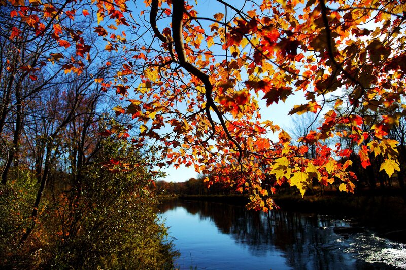 Autumn Leaves over River — Red
