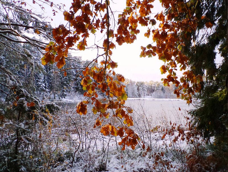 Autumn Leaves over Snowy Lake