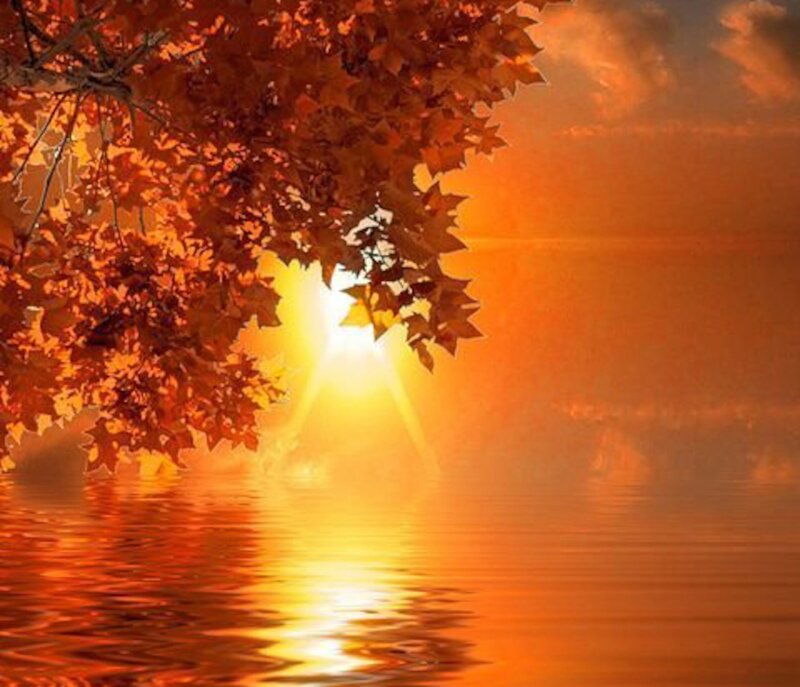 Autumn Leaves over Water — Orange, Serene, Sunset