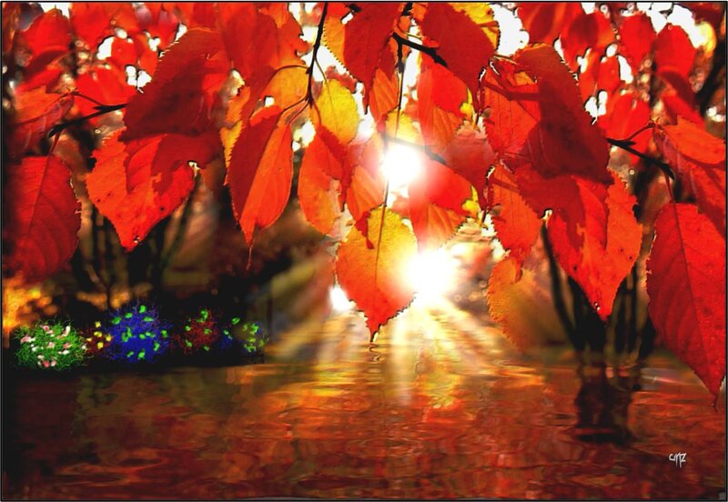 Autumn Leaves over Water — Red, Dramatic