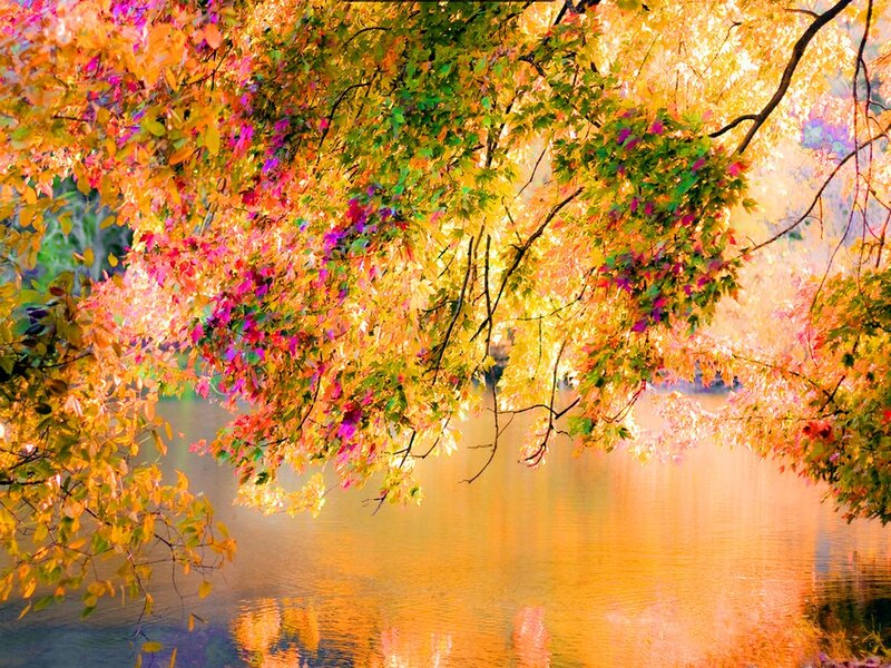 Autumn Leaves over Water