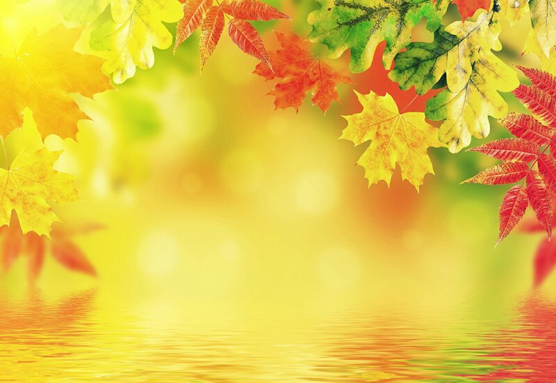Autumn Leaves over Water — Yellow, Serene