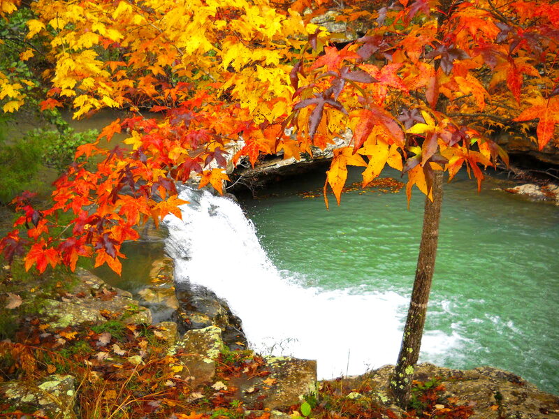 Autumn Leaves over Waterfall — Orange, Serene