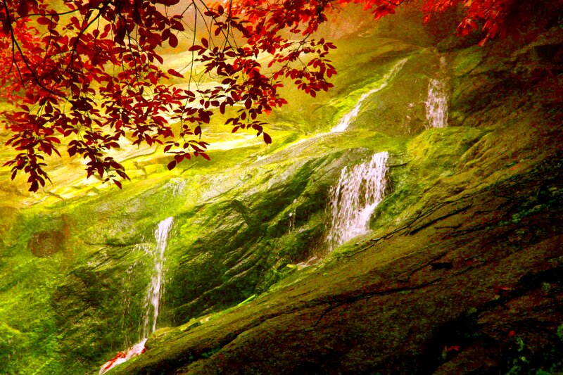Autumn Leaves over Waterfall — Red, Serene