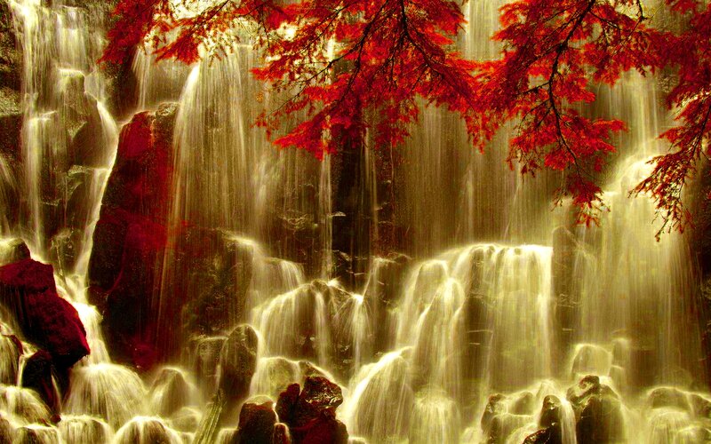 Autumn Leaves over Waterfall — Red