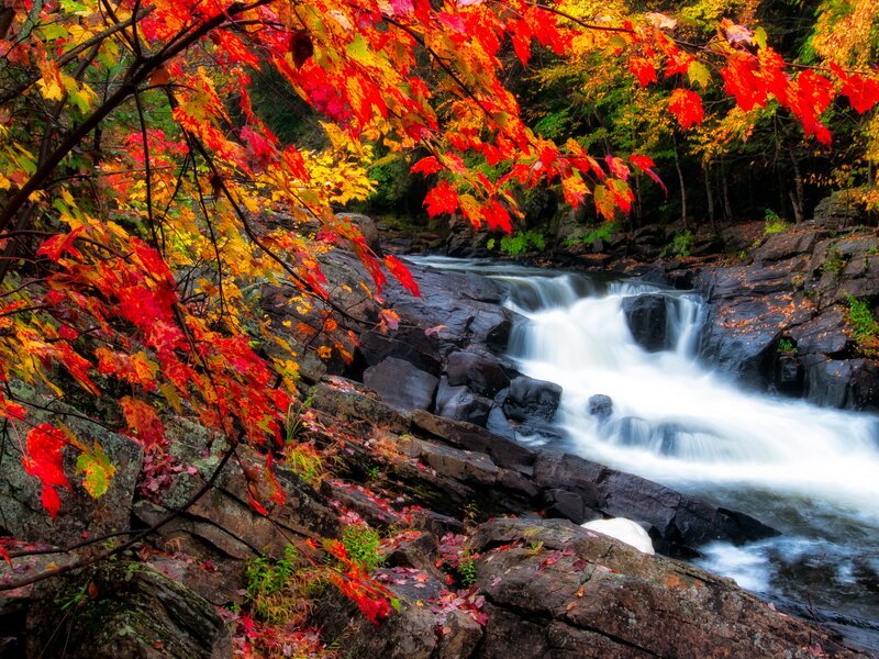 Autumn Leaves over Waterfall