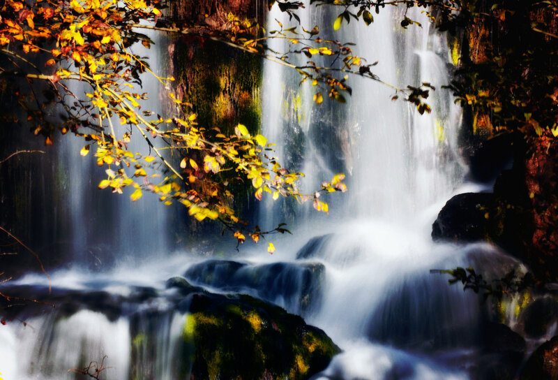 Autumn Leaves over Waterfall — Yellow