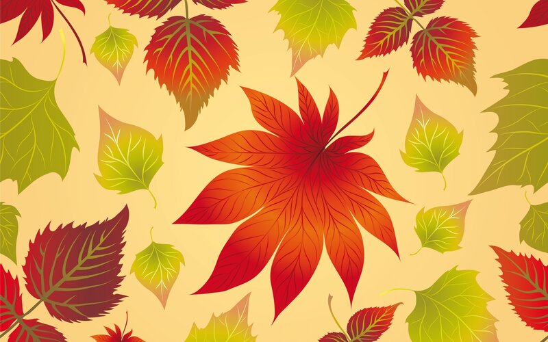 Autumn Leaves Pattern — Red, Calm, Vector Art