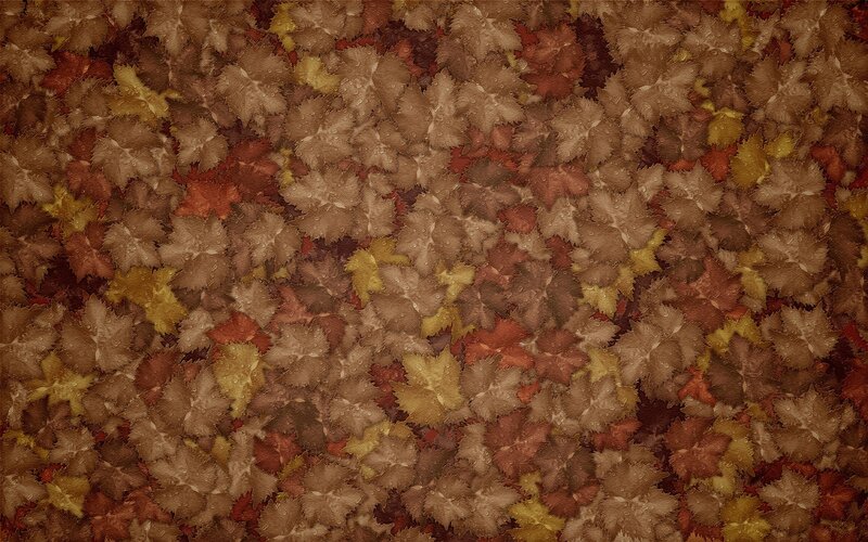 autumn leaves pattern