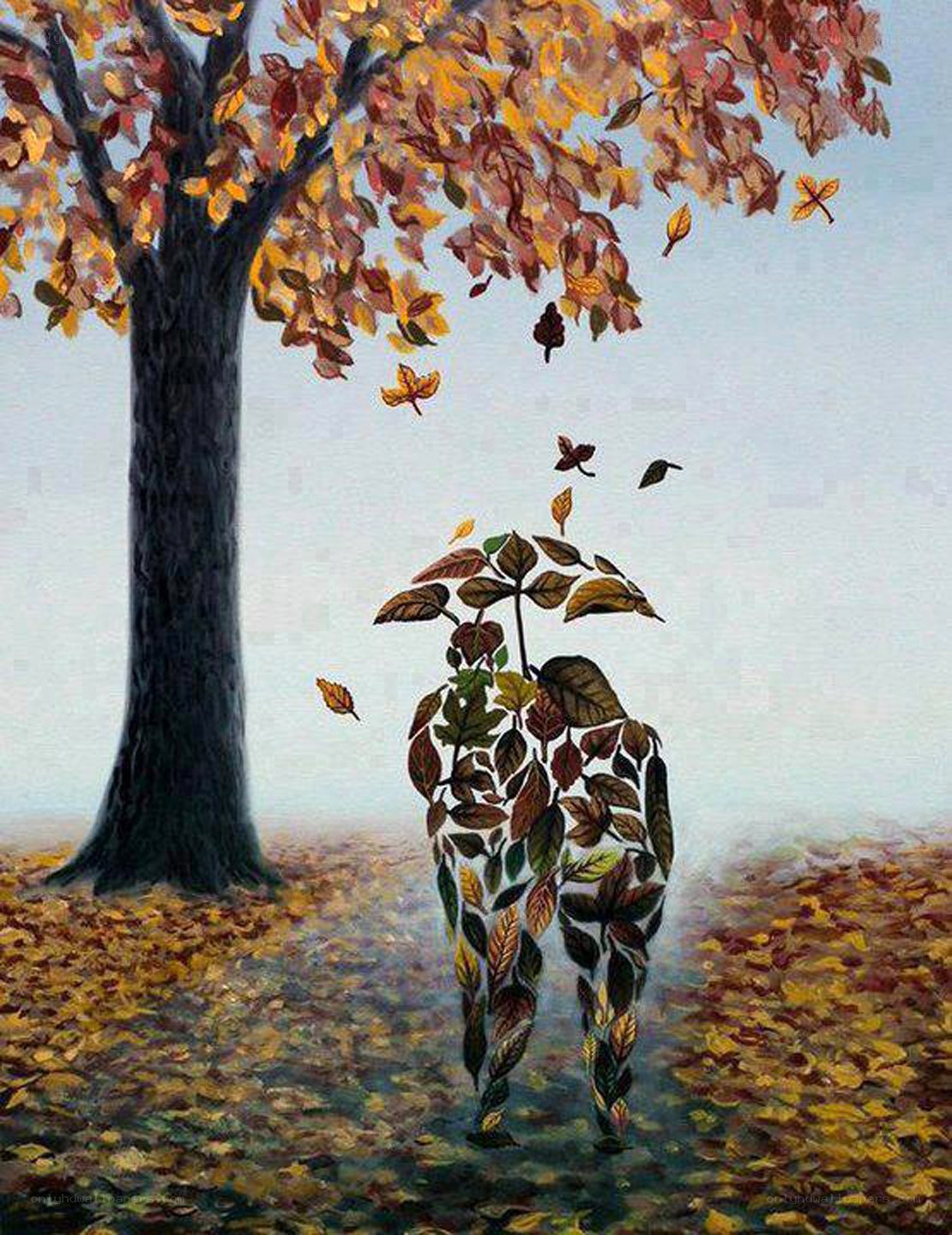 Autumn leaves person