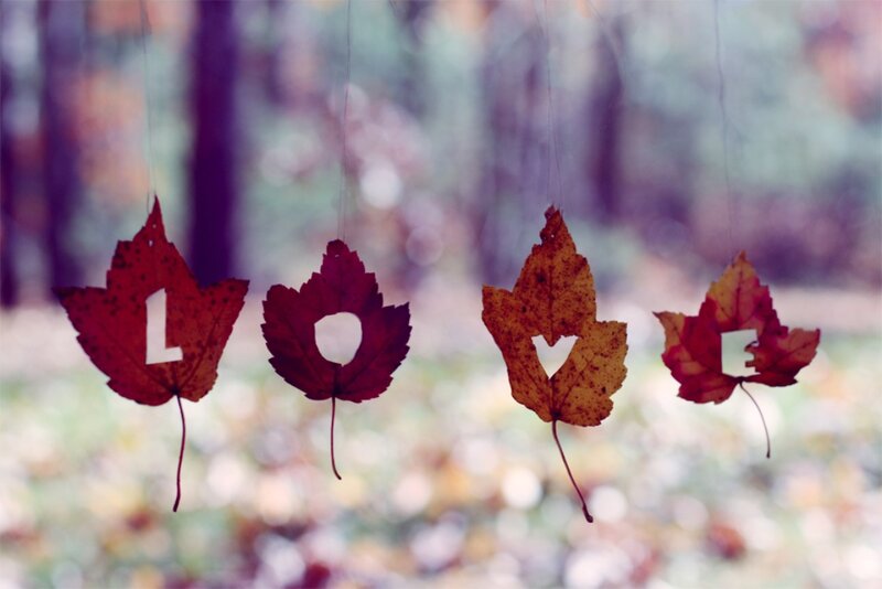 Autumn Leaves Spelling Love — Red
