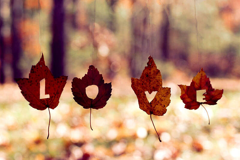 Autumn Leaves Spelling Love
