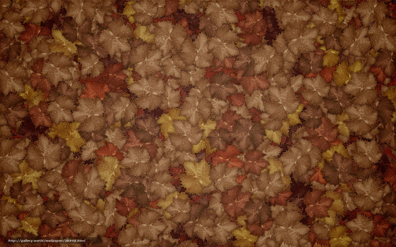 autumn leaves texture