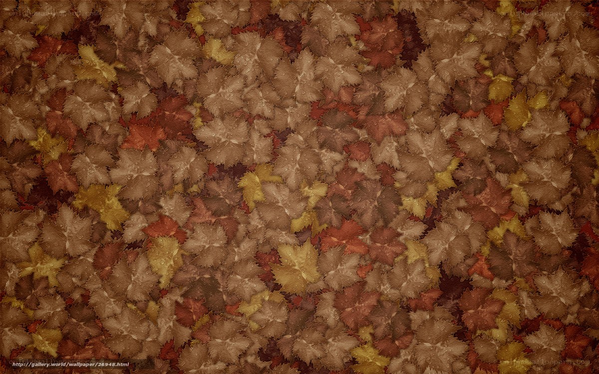 autumn leaves texture