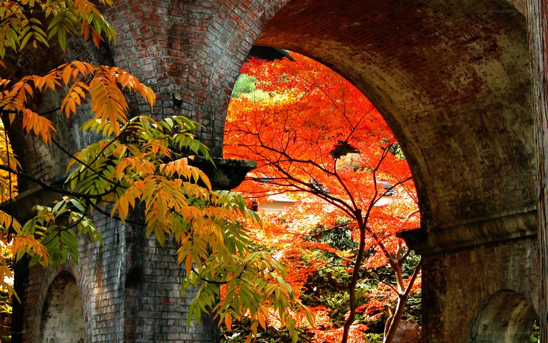 Autumn leaves through a brick arch