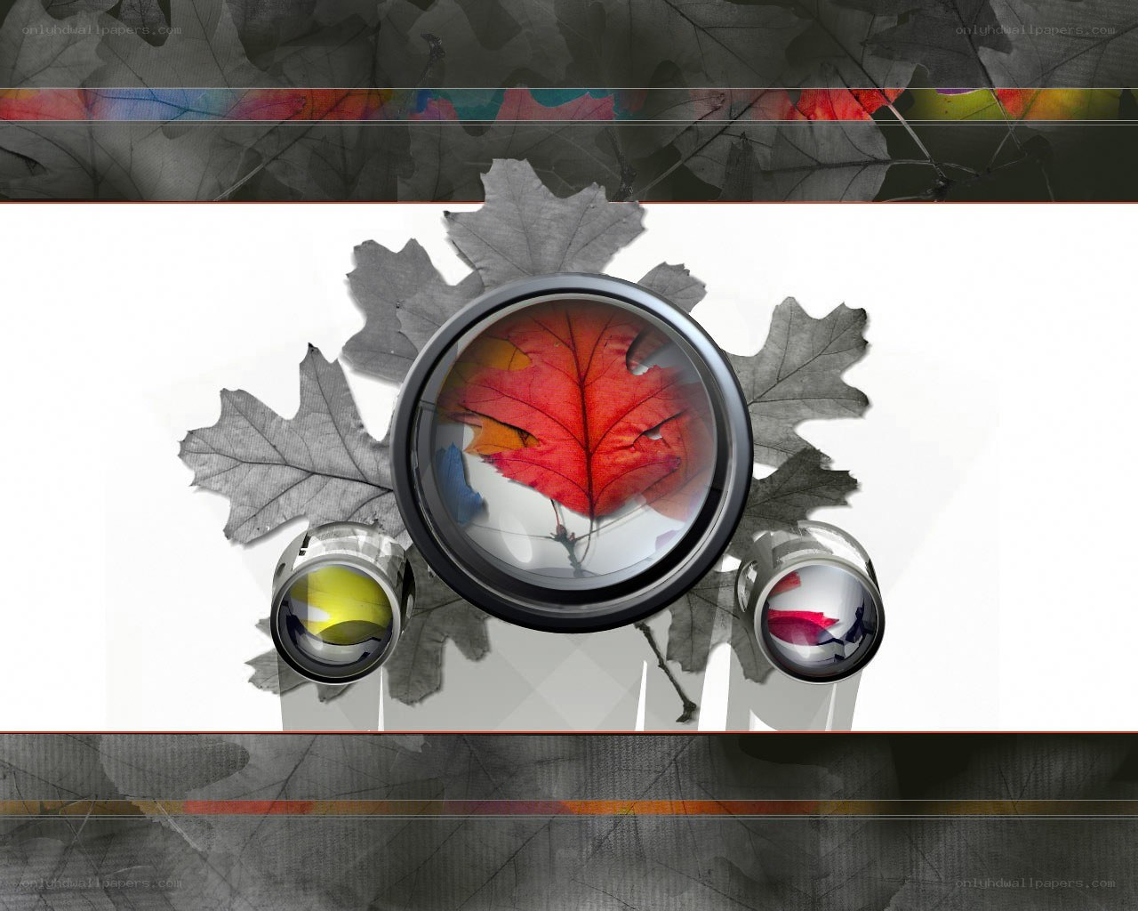 autumn leaves through lenses